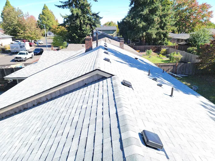 Predator Roofing & Construction Picture 1