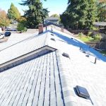 Predator Roofing & Construction