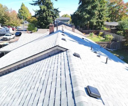 Predator Roofing & Construction
