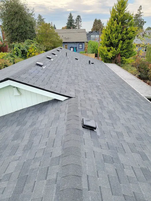 Predator Roofing & Construction Picture 2