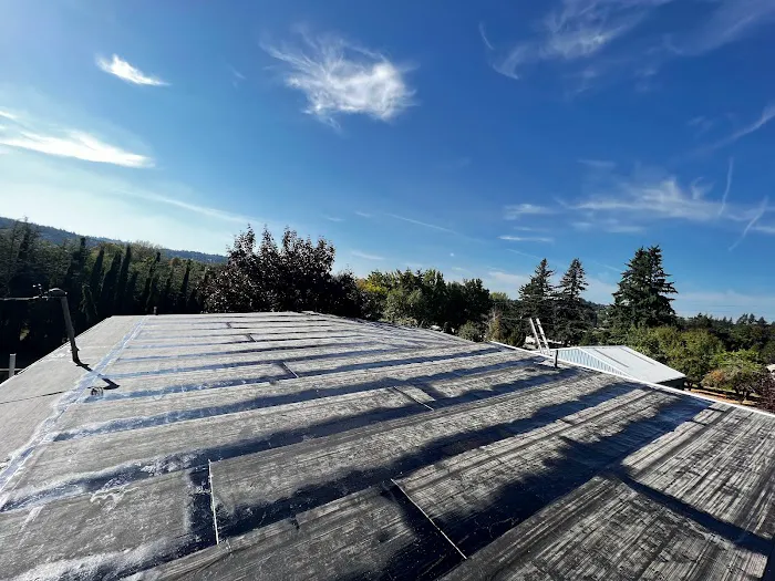 Roof Evolution, LLC Picture 1