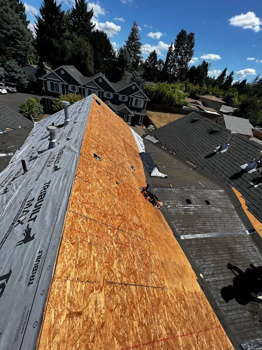 Roof Evolution, LLC Picture 6