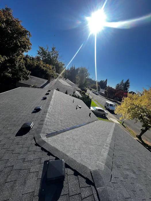 Roof Evolution, LLC Picture 7