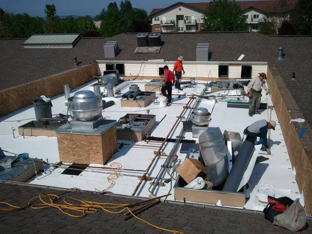All About Roofs LLC Picture 9