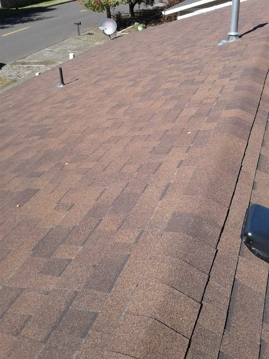 Martin Gutters & Roofing Picture 1