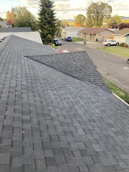 Delta Roofing, LLC Picture 4