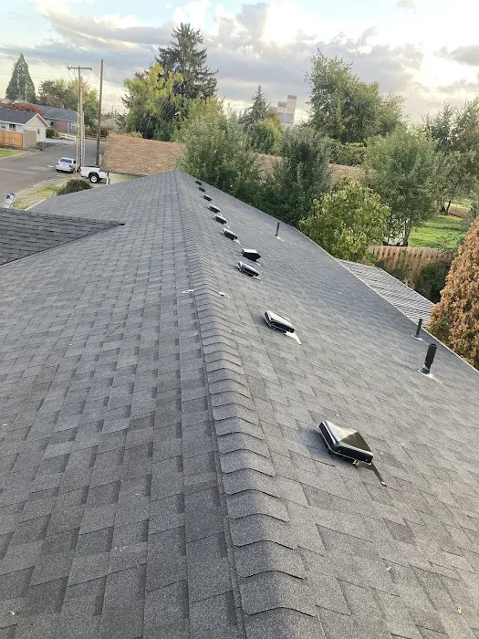 Delta Roofing, LLC Picture 9