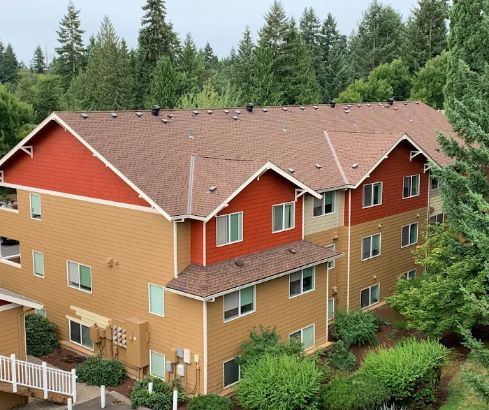 Leak Seal Roofing, Inc. Picture 4