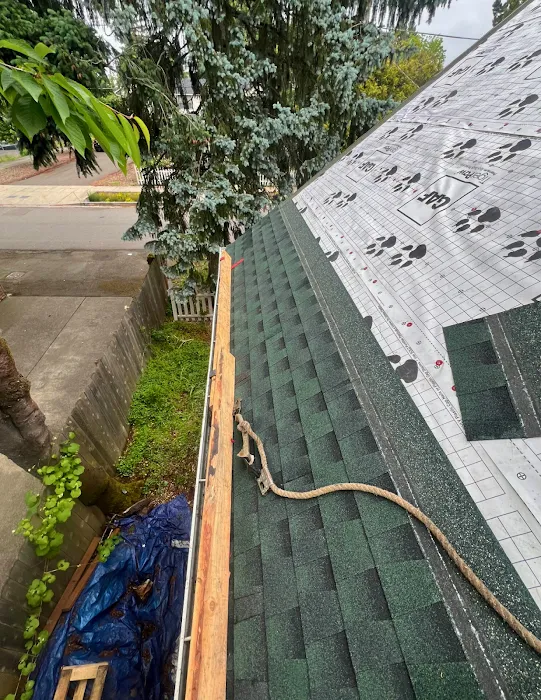 Dagmar Pros Picture 7