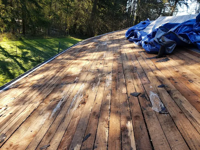 Grant Roofing & Pressure Washing Picture 6