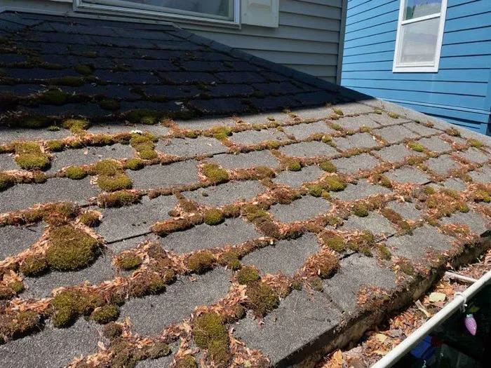 Rock Solid Roofing Picture 8