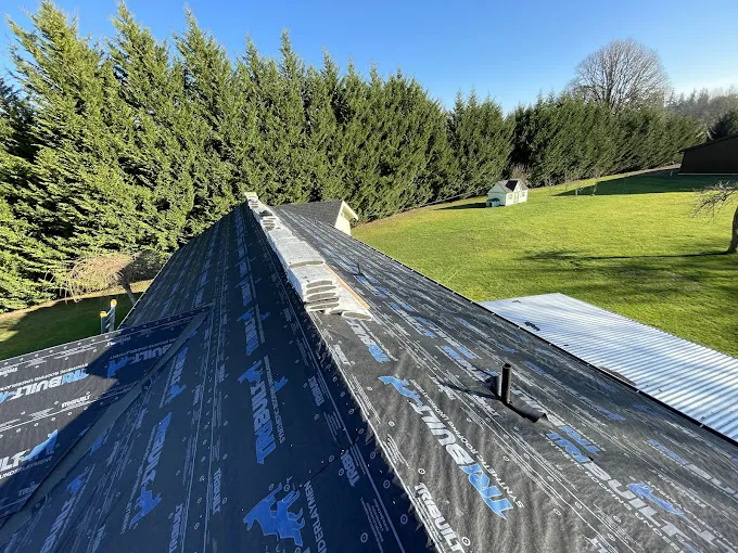 RedBird Roofing Picture 1