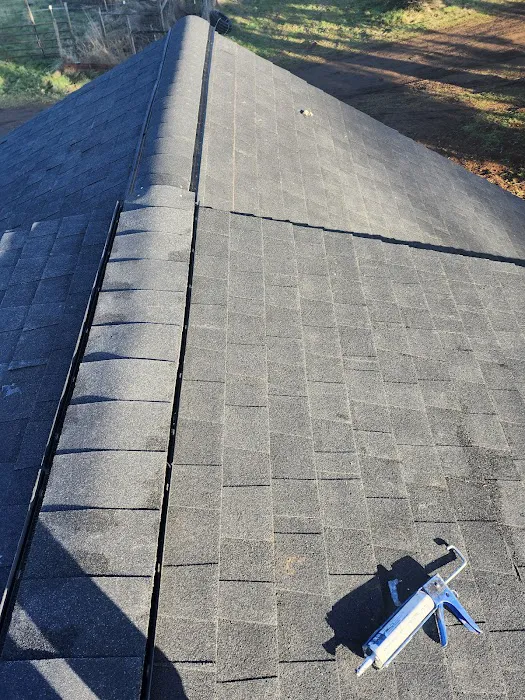 The Last Roof LLC Picture 2