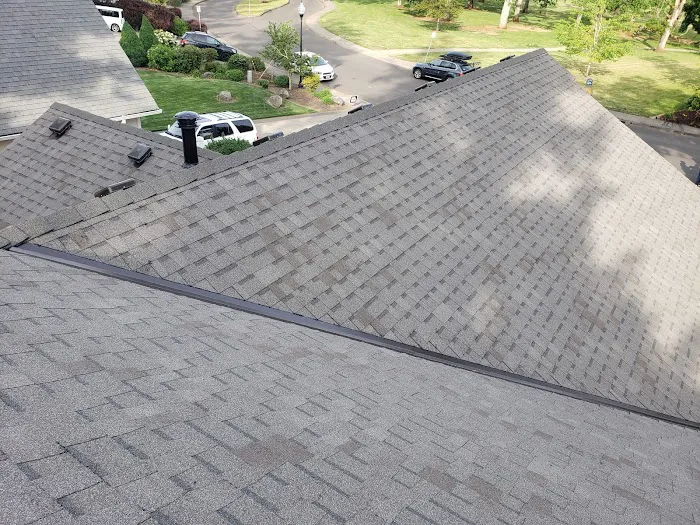 Pro Roofing & Construction Picture 3