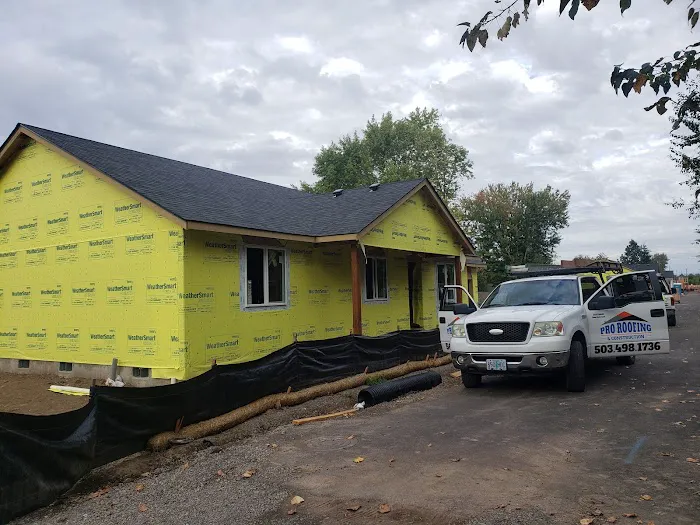 Pro Roofing & Construction Picture 5