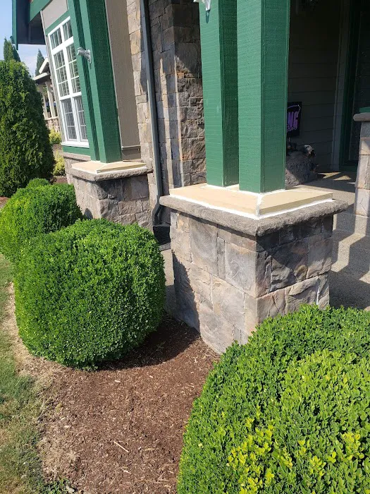 Pro Roofing & Construction Picture 9