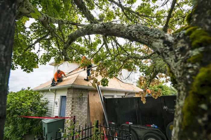 Pfeifer Roofing, Inc. Picture 9