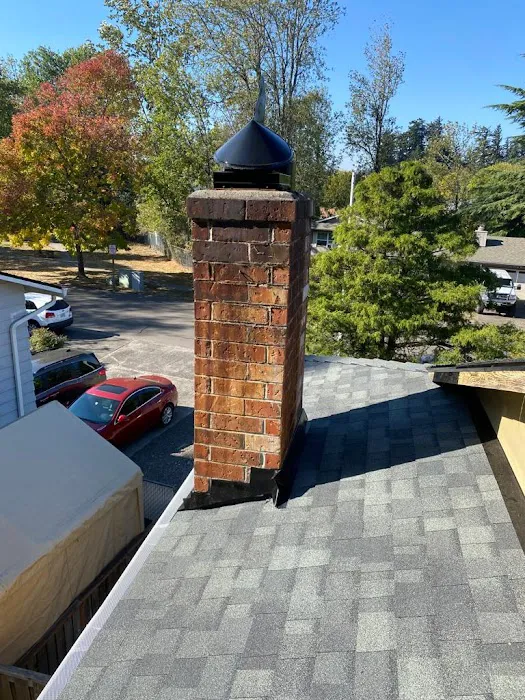 Lion's Roofing & Construction LLC Picture 5