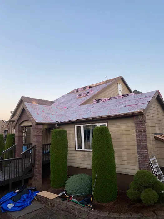 Lion's Roofing & Construction LLC Picture 1