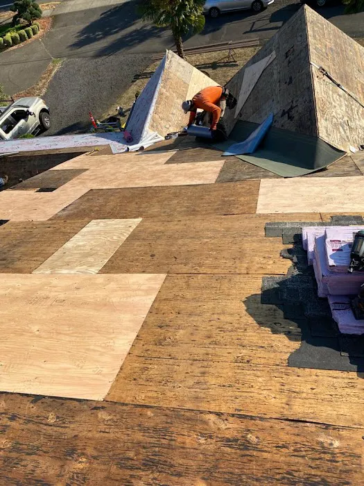 Lion's Roofing & Construction LLC Picture 6