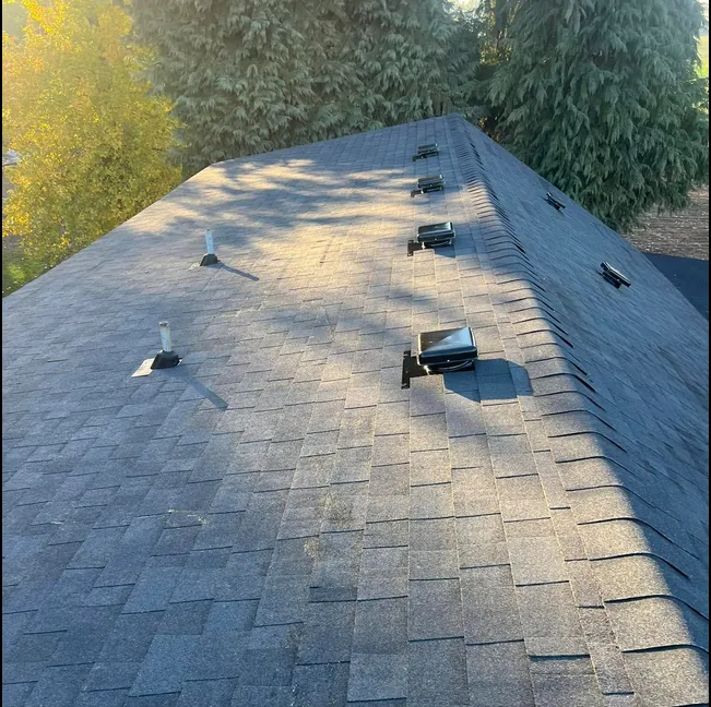 Top Quality Roofing Picture 3