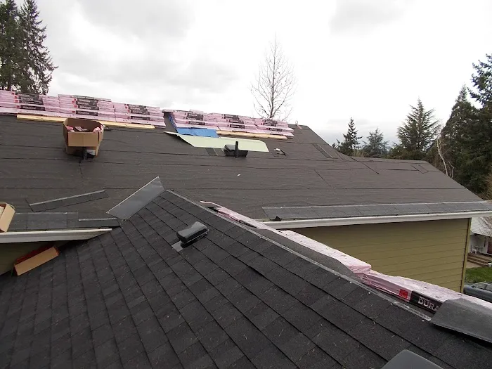 Steve Williams Roofing Picture 1