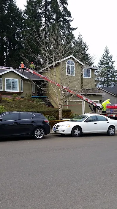 Steve Williams Roofing Picture 3