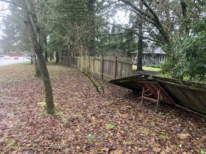 Maddox Roofing & Construction LLC Picture 8