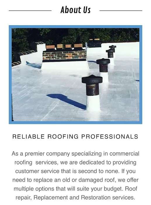 Flat Roof LLC Picture 5