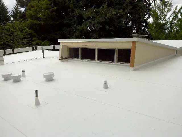 Slate & Slate Roofing Picture 5