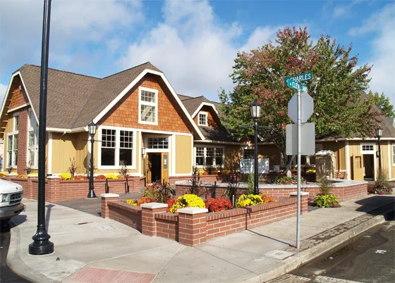 Slate & Slate Roofing Picture 3