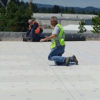 Slate & Slate Roofing ico