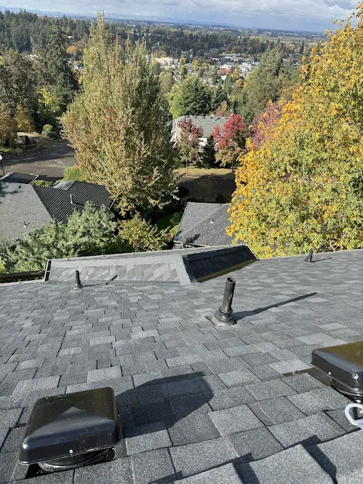 AFC Windows & Roofing Inc Picture 4