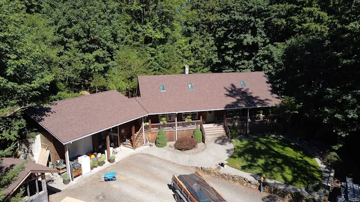 Spruce Up Northwest Picture 7