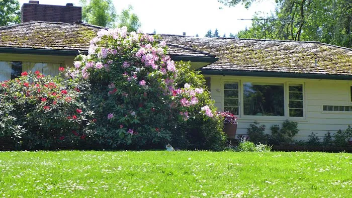 Jeremy Dumanovsky Roofing Picture 5