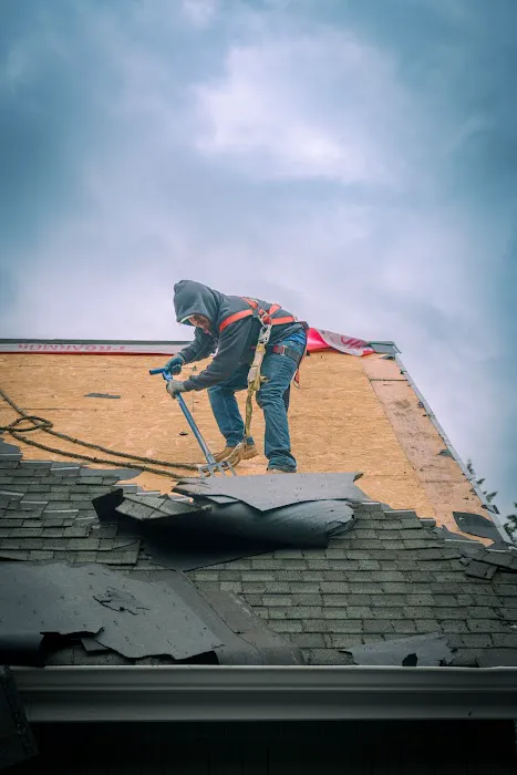 Lonestar Roofing & Exteriors Picture 2