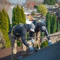 Lonestar Roofing & Exteriors ico