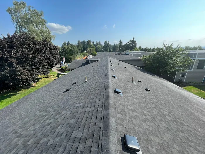 Lonestar Roofing & Exteriors Picture 9