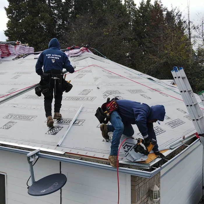 SLEEK EXTERIORS Picture 8