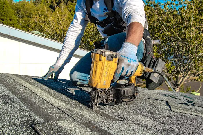 SLEEK EXTERIORS Picture 5