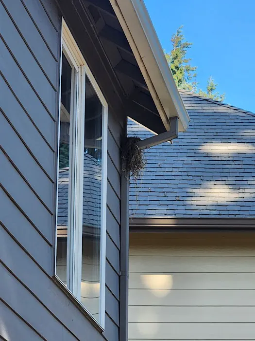 Referred Roof Cleaning & Exteriors Picture 5