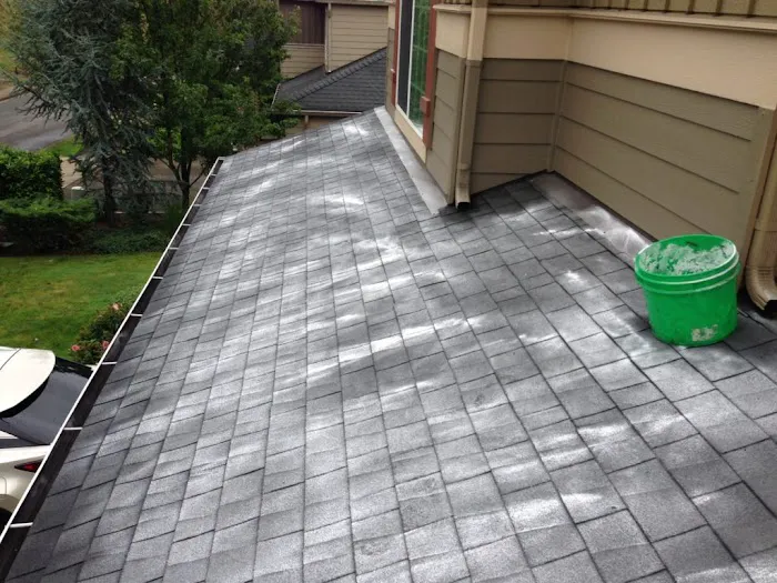 Referred Roof Cleaning & Exteriors Picture 7