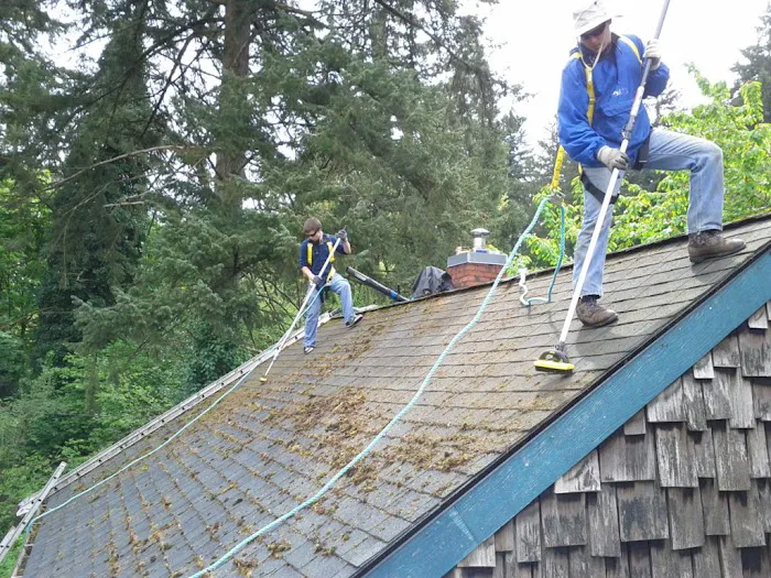 Referred Roof Cleaning & Exteriors Picture 9