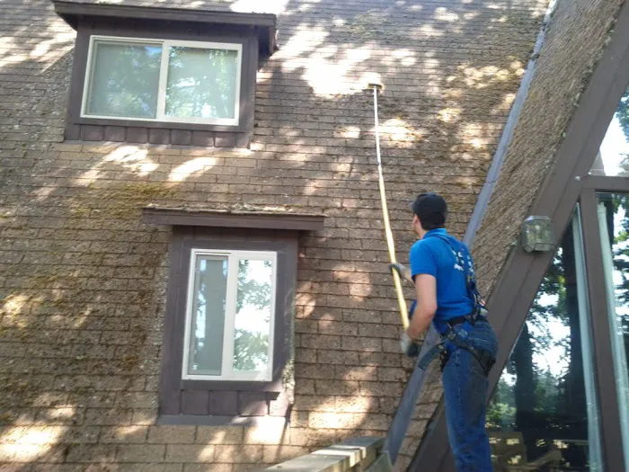 Referred Roof Cleaning & Exteriors Picture 8