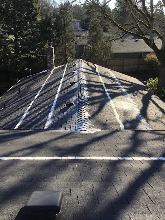 Salem Oregon Gutter Service Picture 7