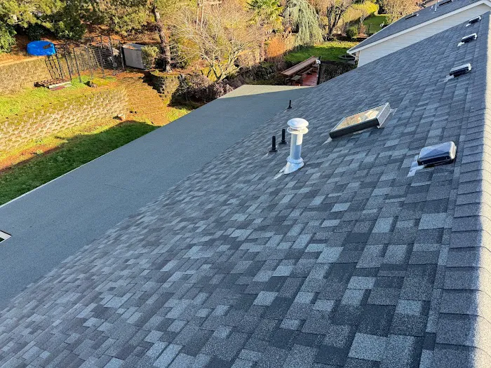 Onyx Roofing Picture 2