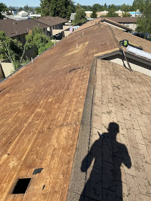 Onyx Roofing Picture 10
