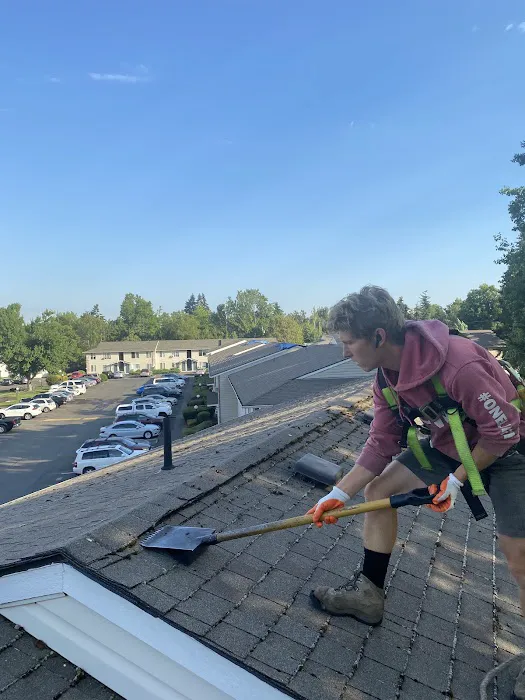 Onyx Roofing Picture 5