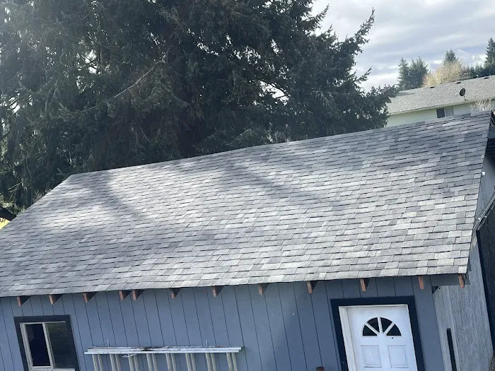 Rohl Roofing Repair Picture 3