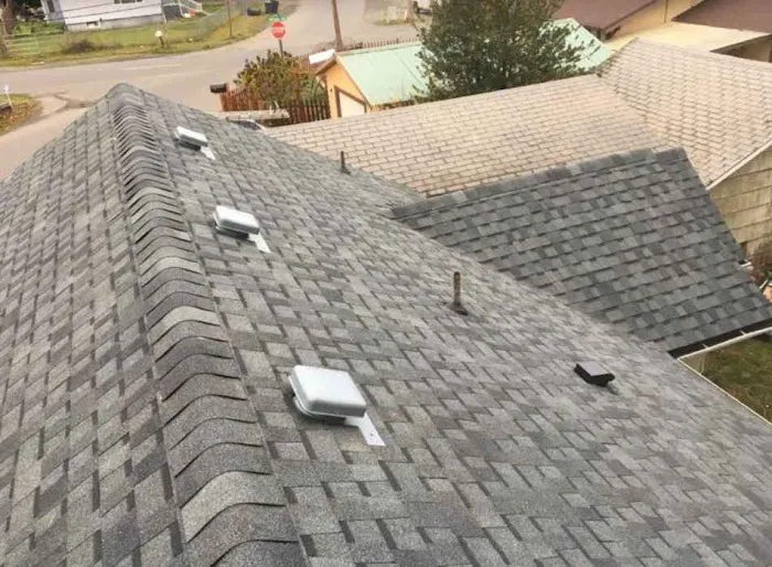 The Roof Doctor Picture 6